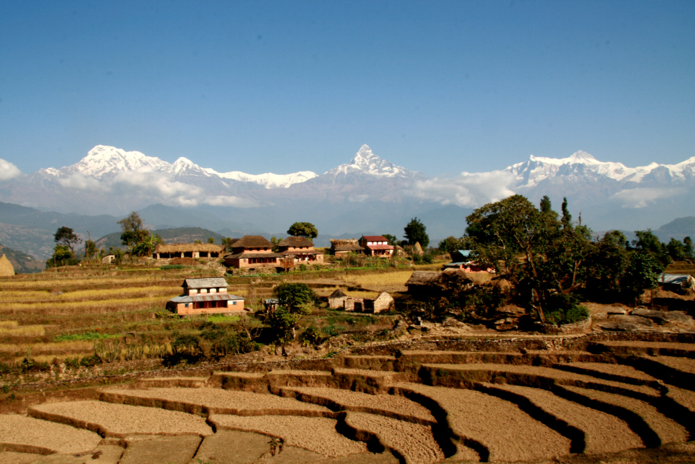 Short Trek to Panchase