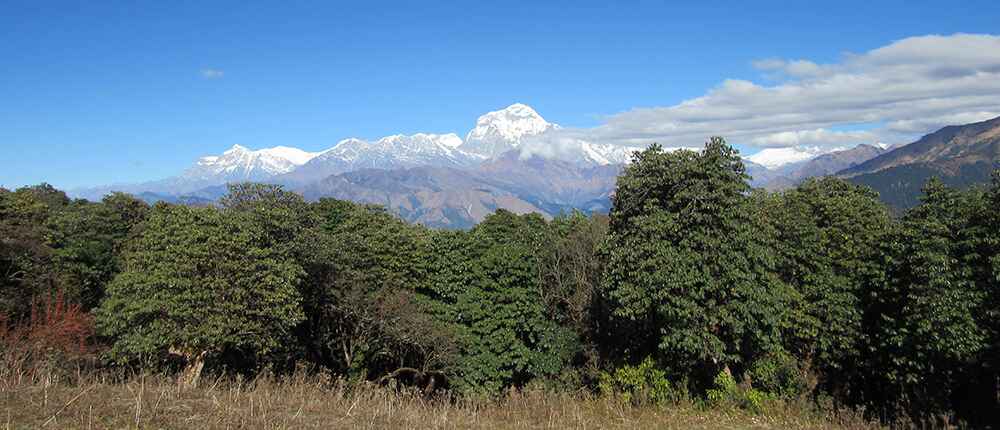 Student Trek to Ghorepani Poon Hill