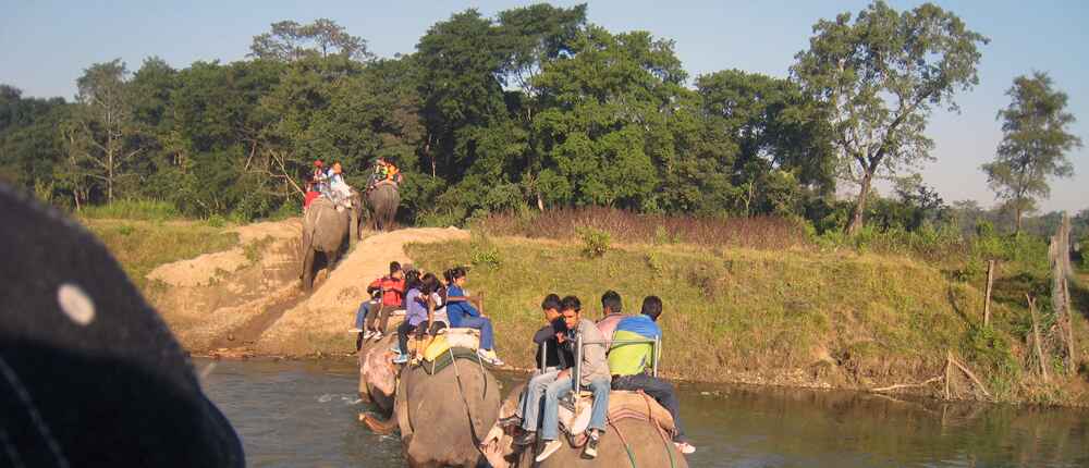 Jungle Safari trekking in Nepal – AME Treks
