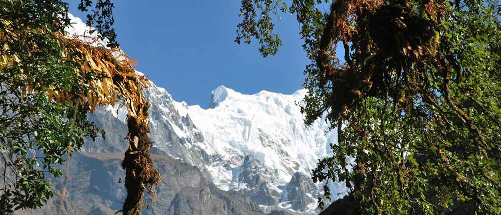 Tamang Heritage Trail and Langtang Trek