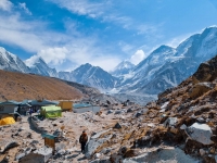Best service and amazing guide